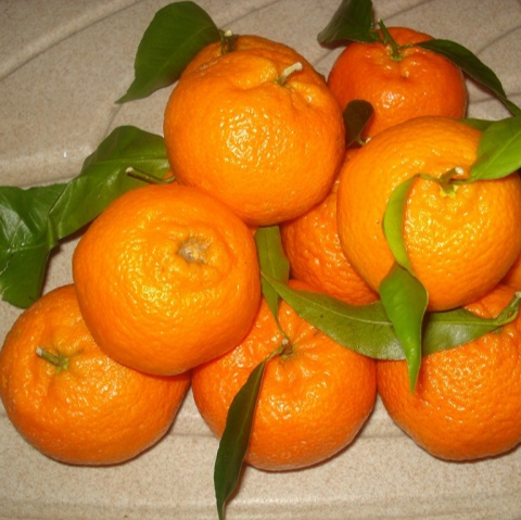 Clementines