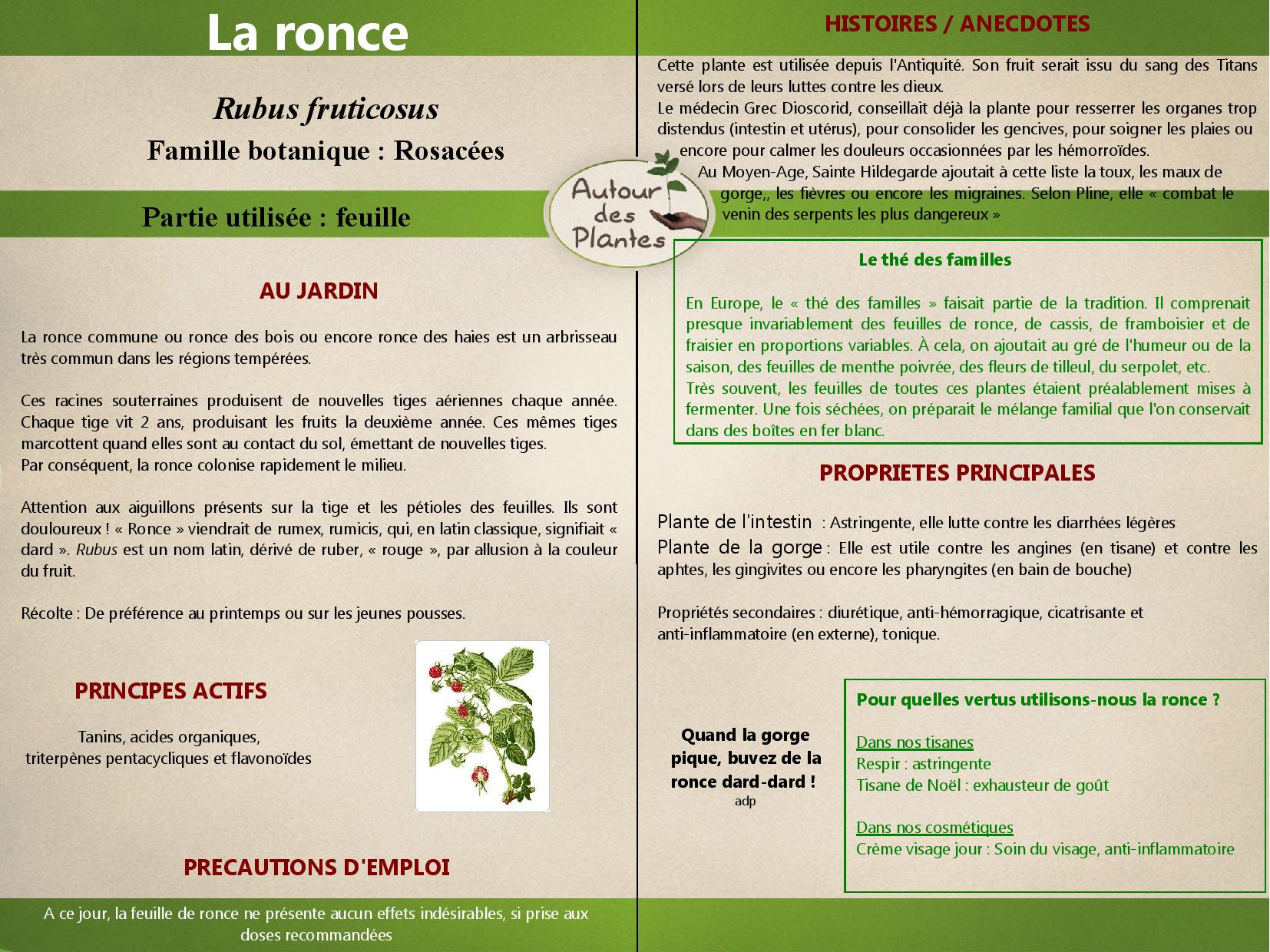 La ronce page 001