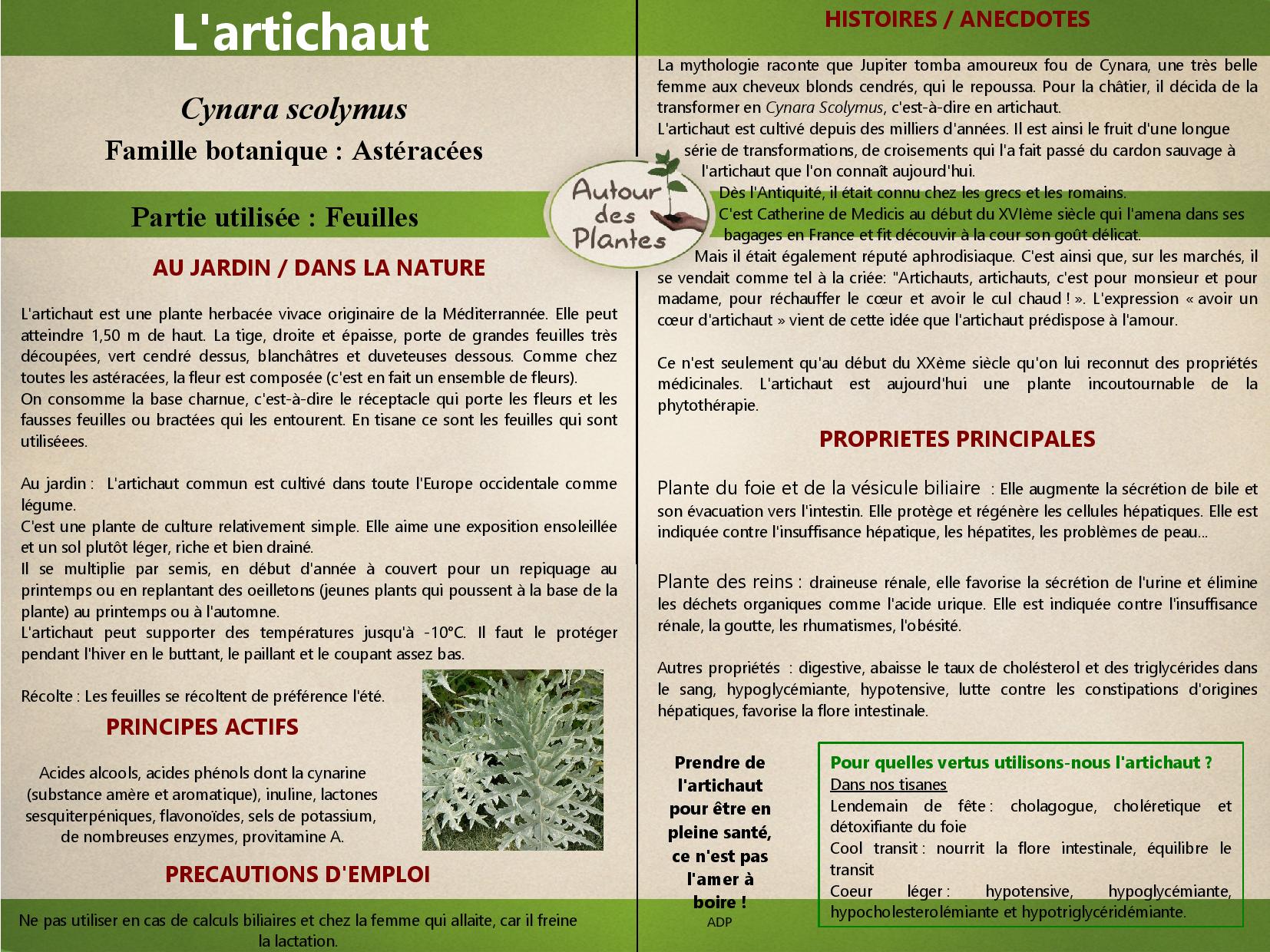 Lartichaut page 001