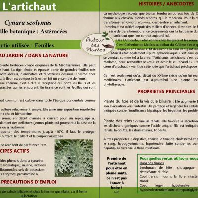 Lartichaut page 001