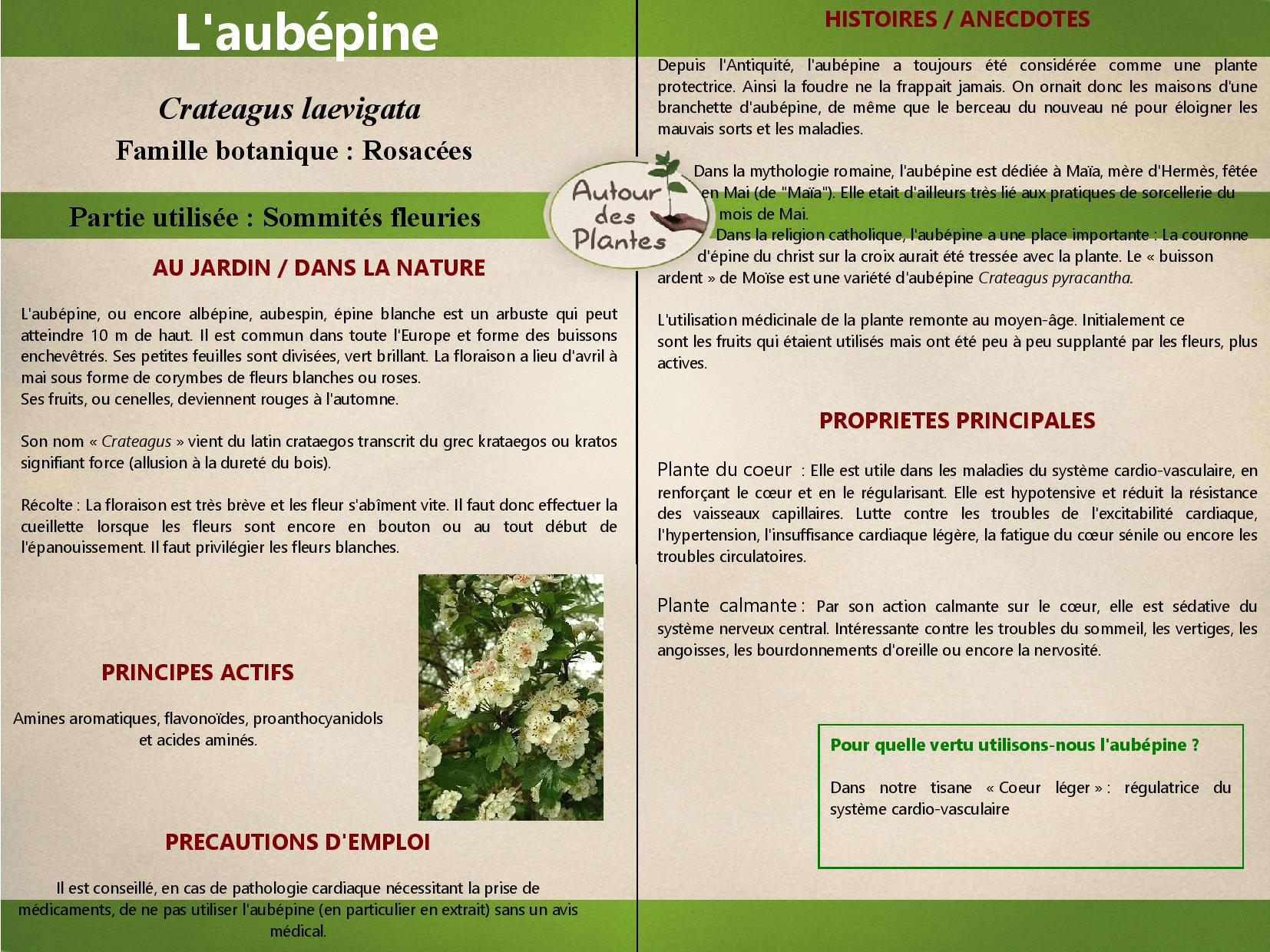 Laubepine page 001