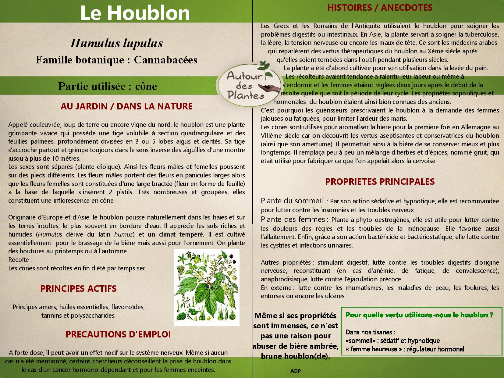 Le houblon page 001
