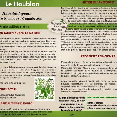 Le houblon page 001