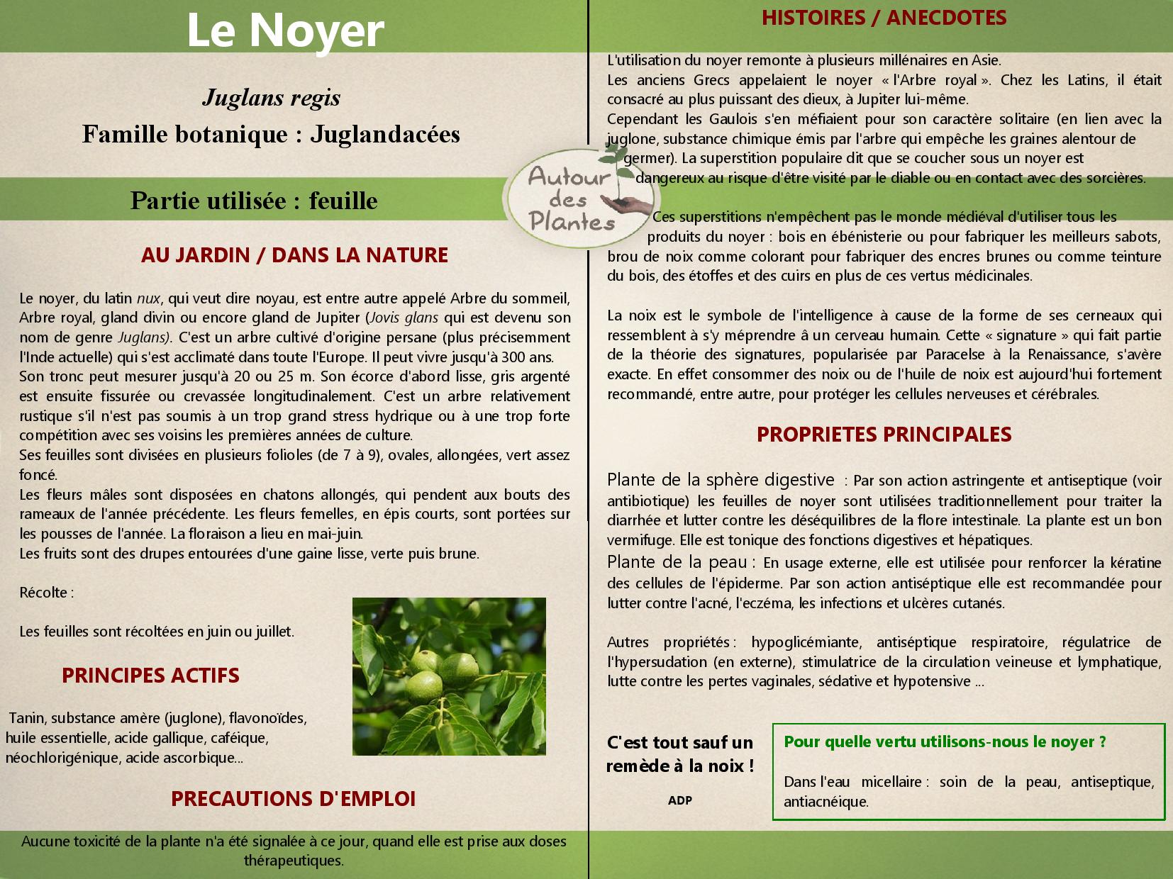 Le noyer page 001