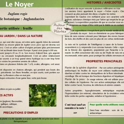 Le noyer page 001