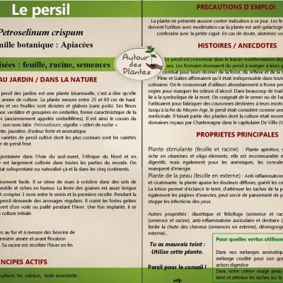 Le persil page 001