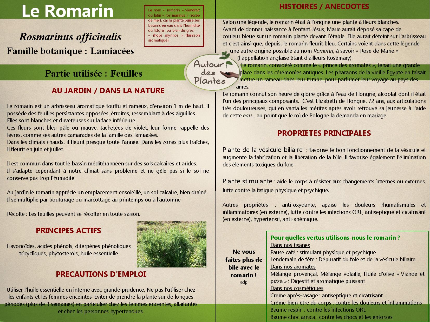 Le romarin page 001