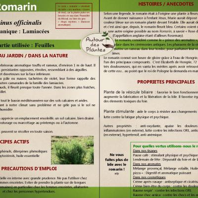 Le romarin page 001