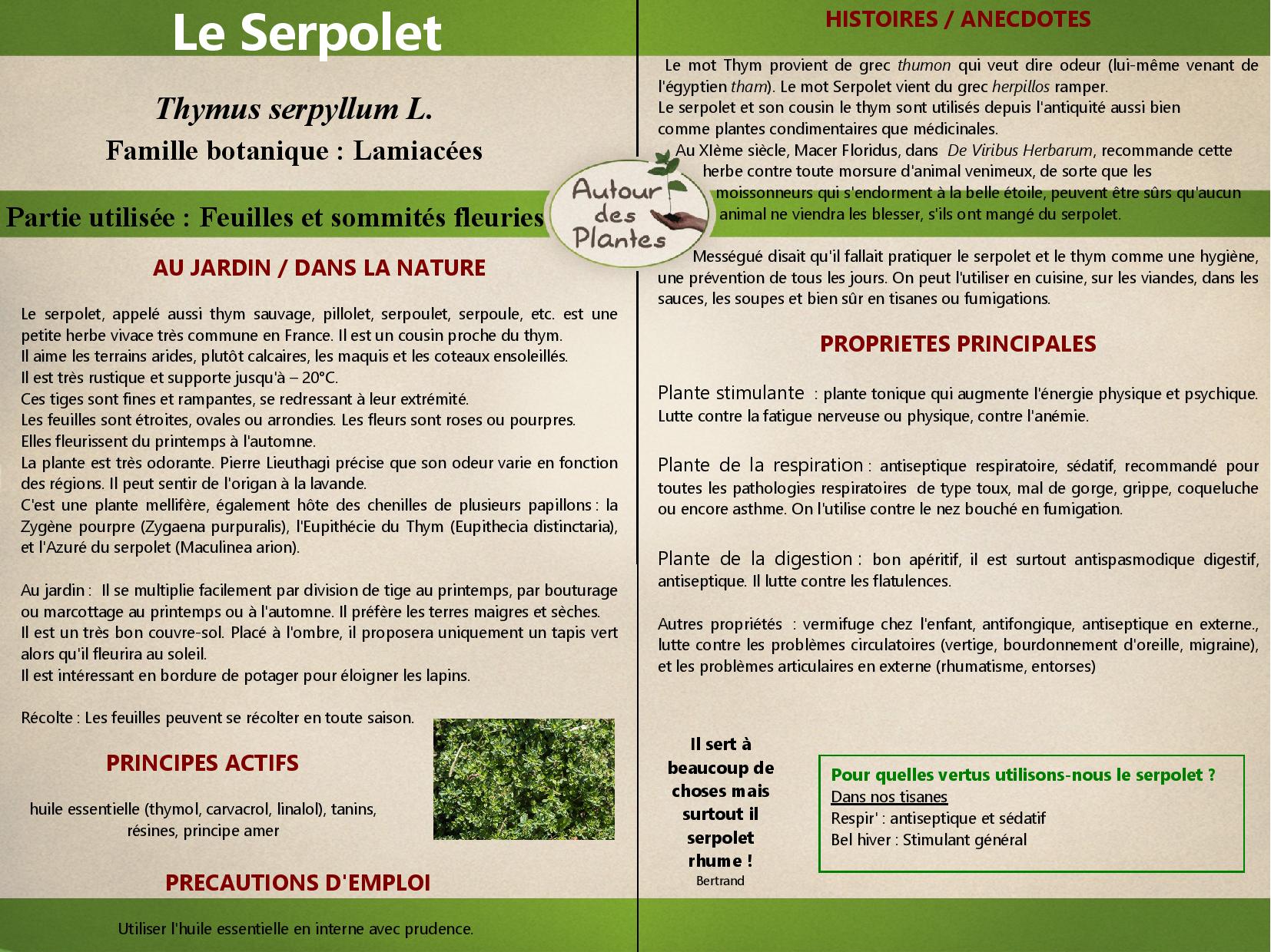 Le serpolet page 001