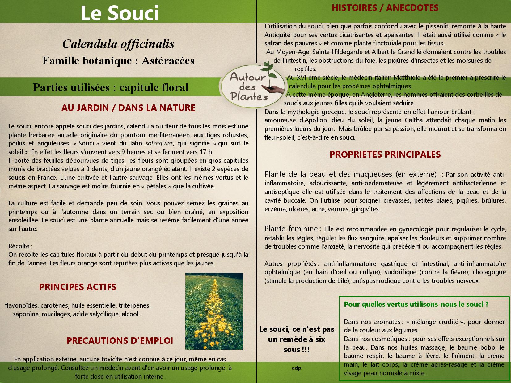 Le souci page 001