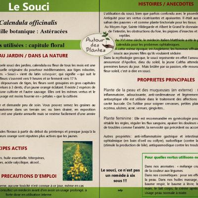 Le souci page 001