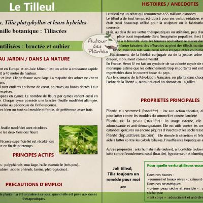 Le tilleul page 001