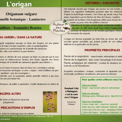 Lorigan page 001