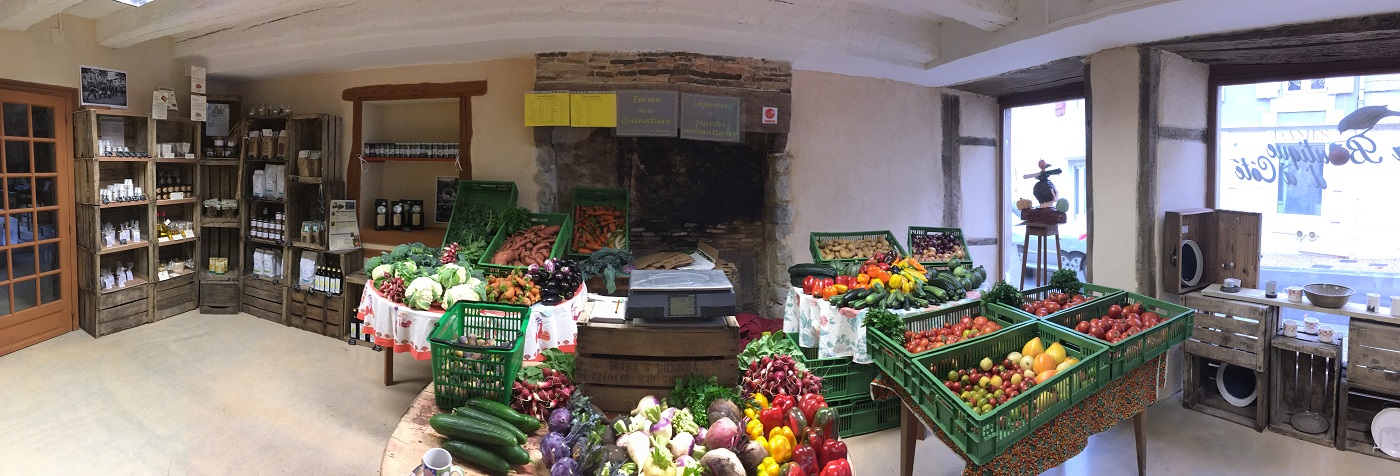 Panoramique legumes